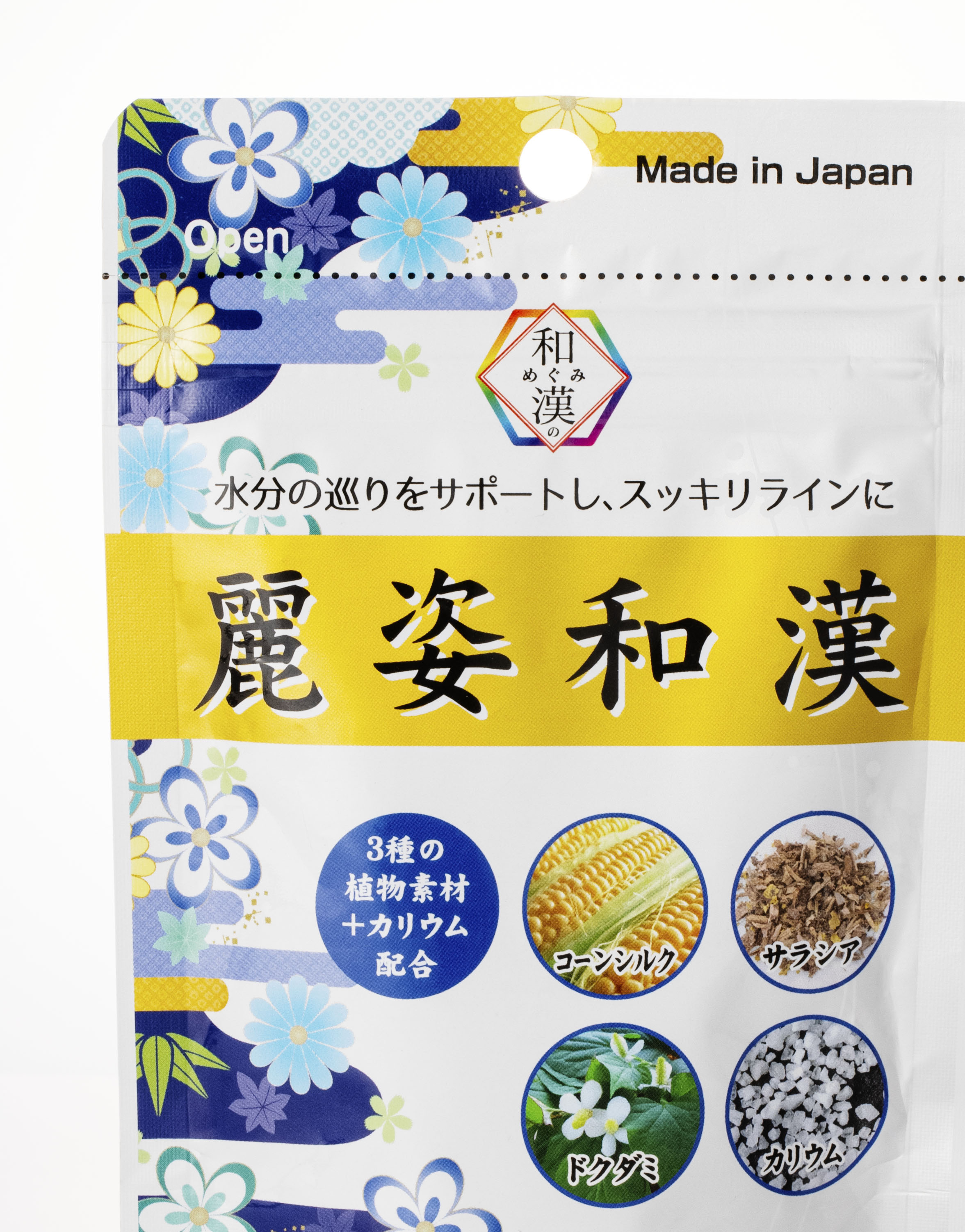 麗姿和漢